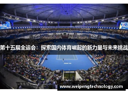 第十五届全运会:探索国内体育崛起的新力量与未来挑战